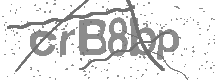 visual captcha
